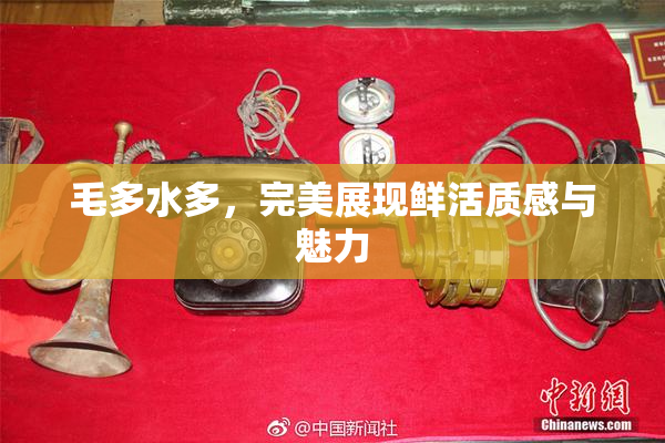 毛多水多，完美展现鲜活质感与魅力