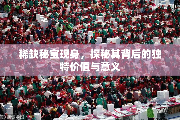 稀缺秘宝现身，探秘其背后的独特价值与意义
