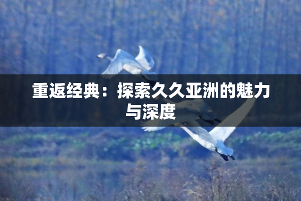 重返经典：探索久久亚洲的魅力与深度
