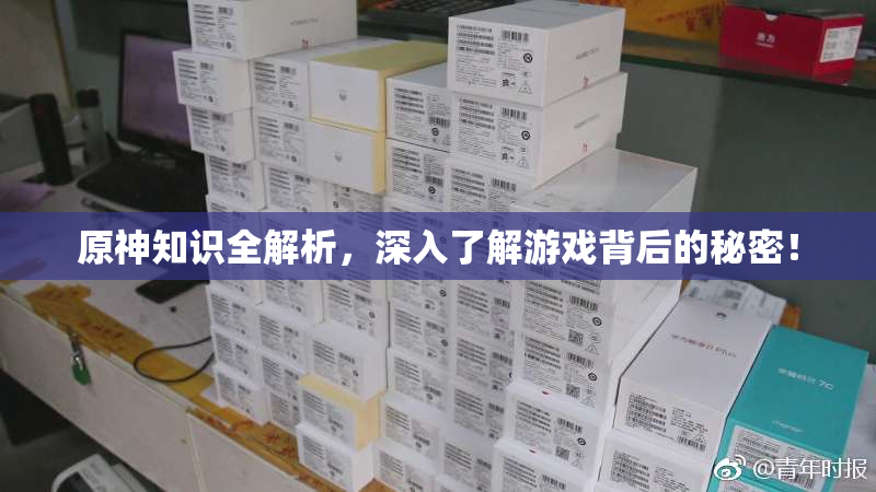 原神知识全解析，深入了解游戏背后的秘密！