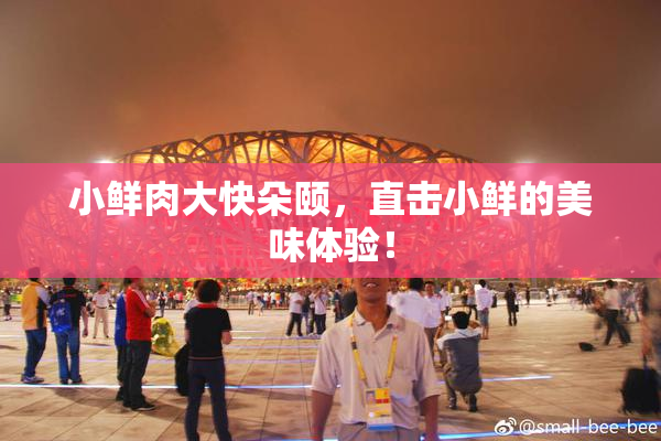 小鲜肉大快朵颐，直击小鲜的美味体验！