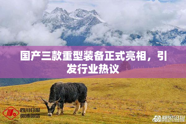 国产三款重型装备正式亮相，引发行业热议
