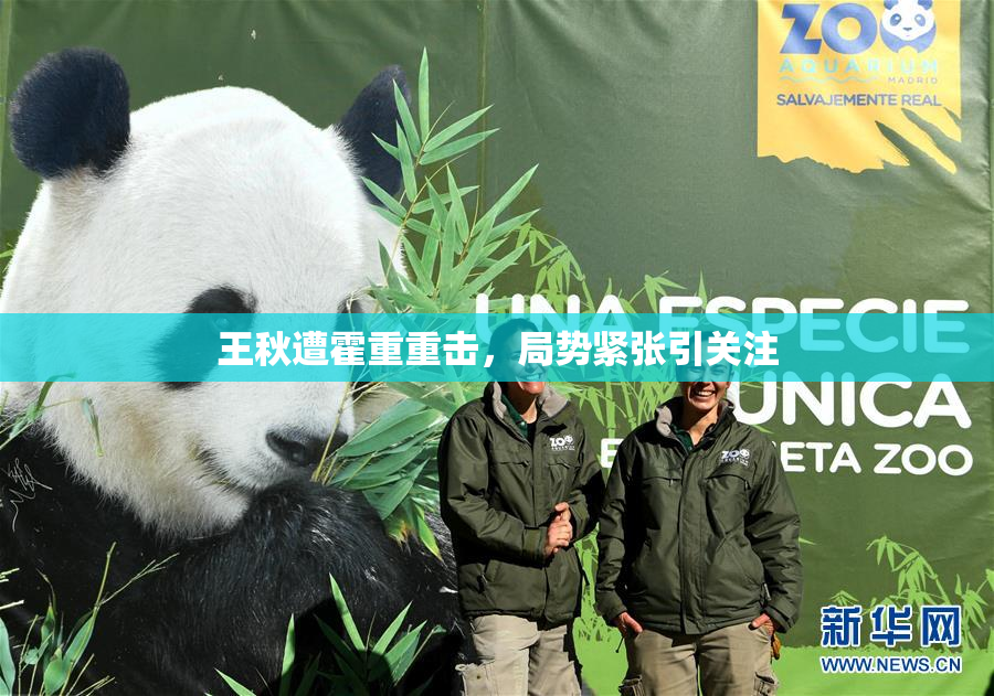 王秋遭霍重重击，局势紧张引关注