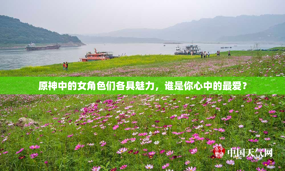 原神中的女角色们各具魅力，谁是你心中的最爱？
