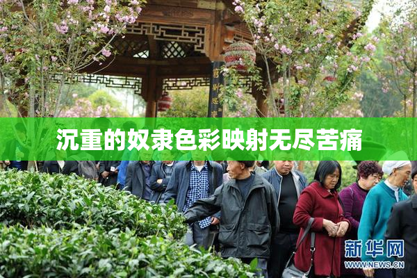 沉重的奴隶色彩映射无尽苦痛