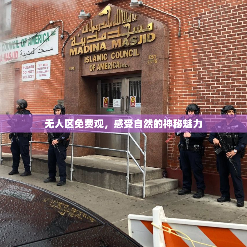 无人区免费观，感受自然的神秘魅力