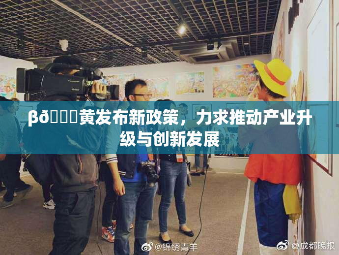 β🔞黄发布新政策，力求推动产业升级与创新发展