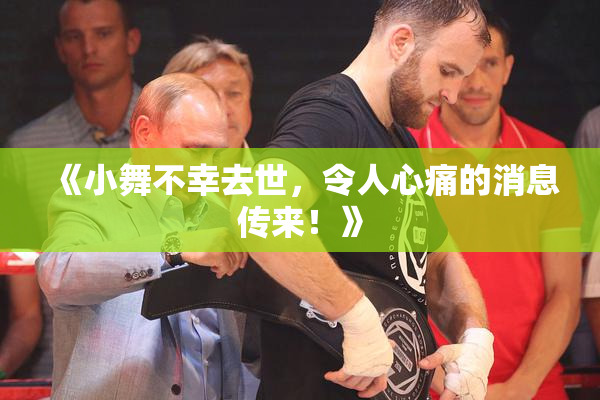 《小舞不幸去世，令人心痛的消息传来！》
