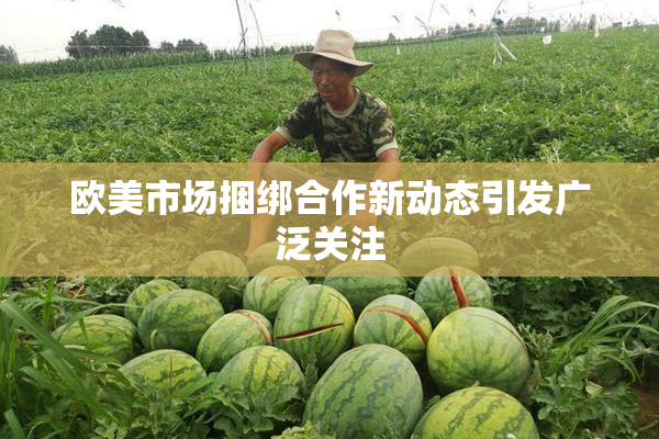 欧美市场捆绑合作新动态引发广泛关注