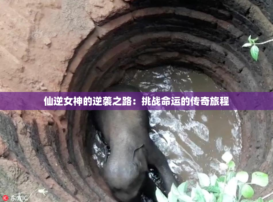 仙逆女神的逆袭之路：挑战命运的传奇旅程