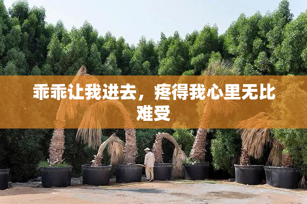乖乖让我进去，疼得我心里无比难受