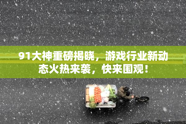91大神重磅揭晓，游戏行业新动态火热来袭，快来围观！