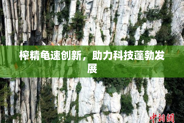 榨精龟速创新，助力科技蓬勃发展