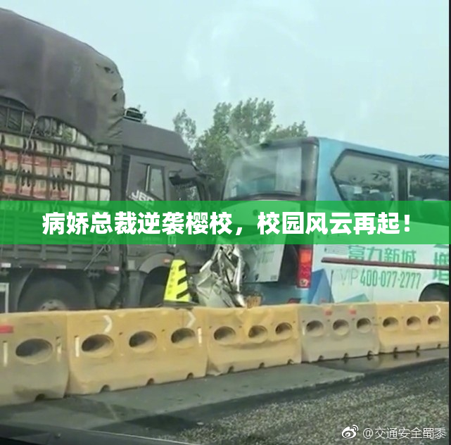 病娇总裁逆袭樱校，校园风云再起！