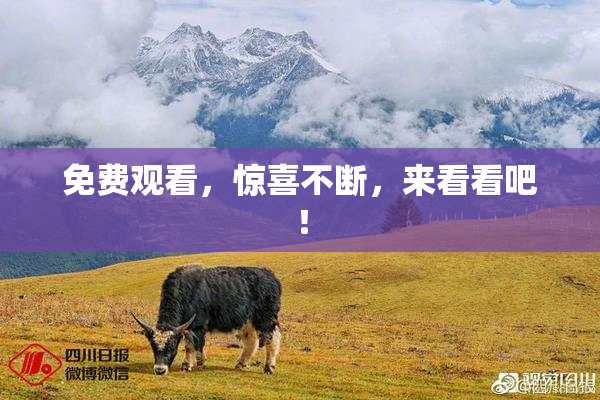 免费观看，惊喜不断，来看看吧！