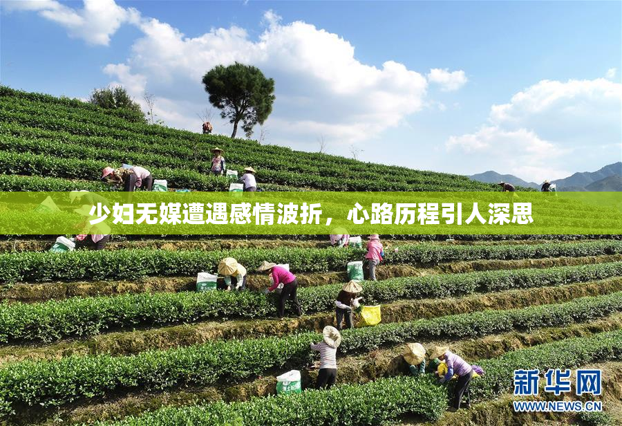 少妇无媒遭遇感情波折，心路历程引人深思
