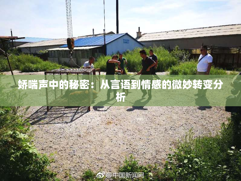 娇喘声中的秘密：从言语到情感的微妙转变分析