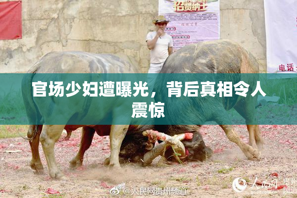 官场少妇遭曝光，背后真相令人震惊