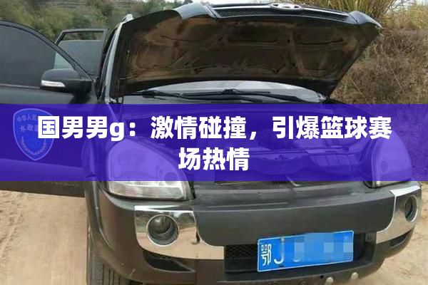 国男男g：激情碰撞，引爆篮球赛场热情