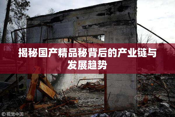 揭秘国产精品秘背后的产业链与发展趋势