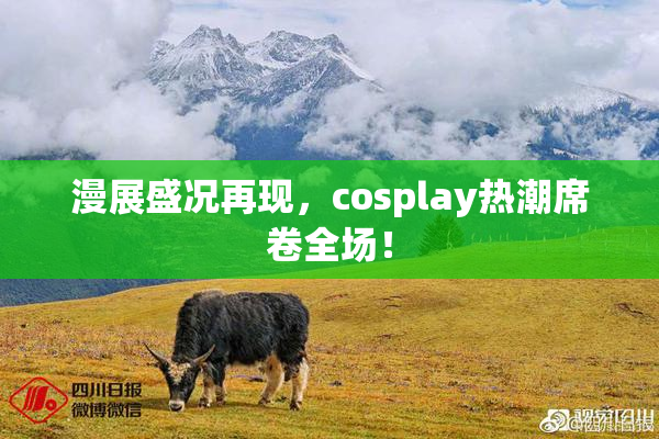 漫展盛况再现，cosplay热潮席卷全场！