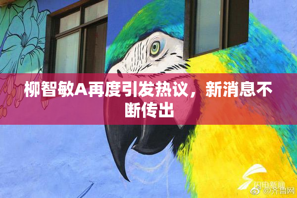 柳智敏A再度引发热议，新消息不断传出