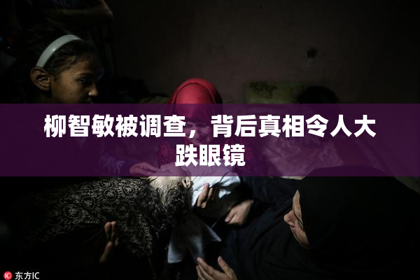 柳智敏被调查，背后真相令人大跌眼镜