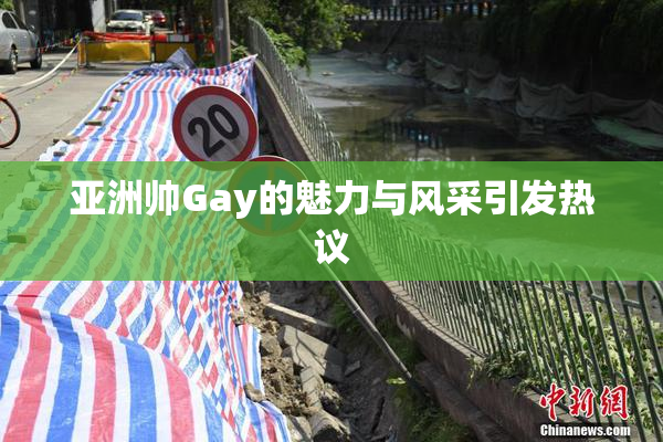 亚洲帅Gay的魅力与风采引发热议