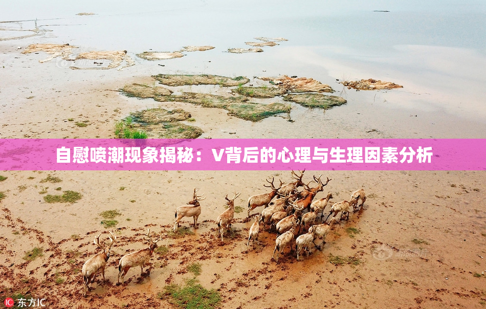 自慰喷潮现象揭秘：V背后的心理与生理因素分析