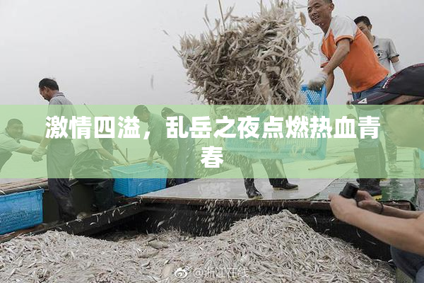 激情四溢，乱岳之夜点燃热血青春