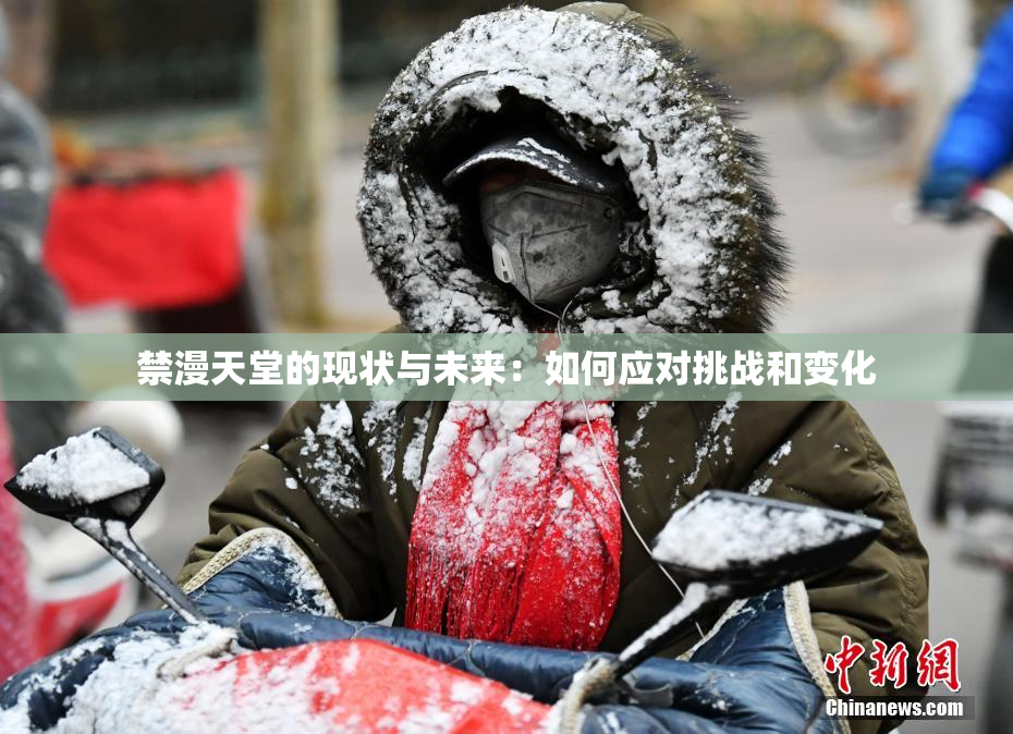 禁漫天堂的现状与未来：如何应对挑战和变化