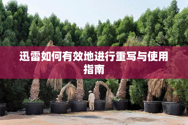 迅雷如何有效地进行重写与使用指南