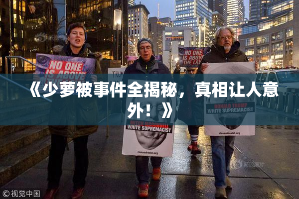 《少萝被事件全揭秘，真相让人意外！》