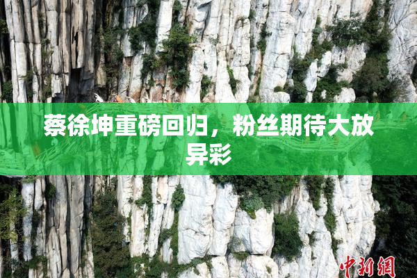 蔡徐坤重磅回归，粉丝期待大放异彩