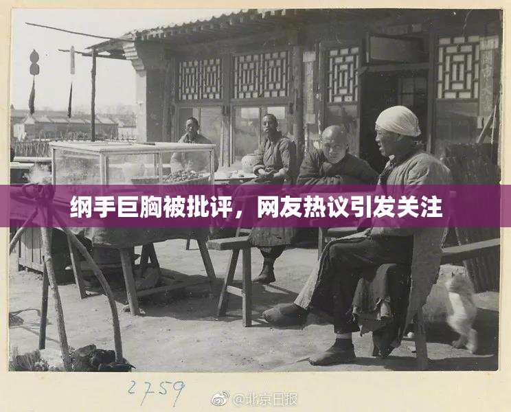 纲手巨胸被批评，网友热议引发关注
