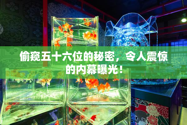 偷窥五十六位的秘密，令人震惊的内幕曝光！