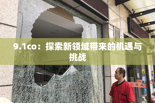 9.1co：探索新领域带来的机遇与挑战