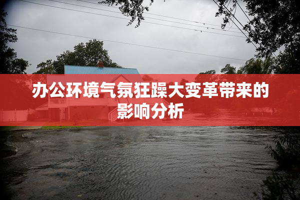 办公环境气氛狂躁大变革带来的影响分析