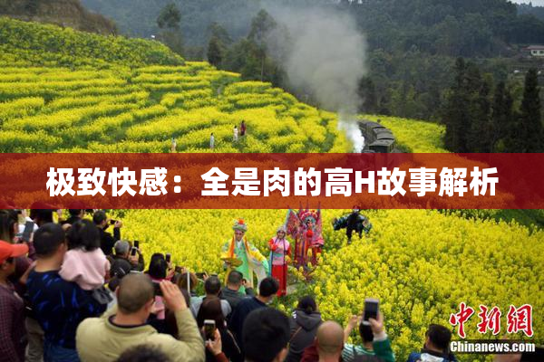 极致快感：全是肉的高H故事解析