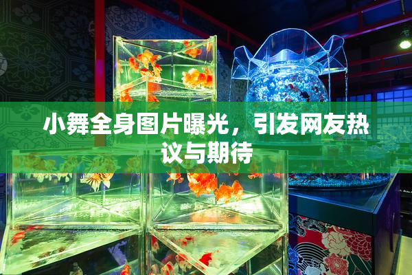 小舞全身图片曝光，引发网友热议与期待