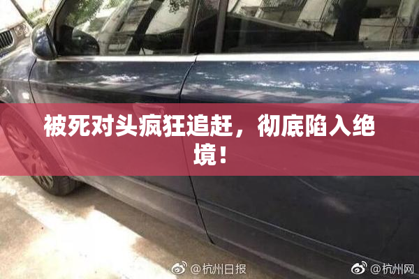 被死对头疯狂追赶，彻底陷入绝境！