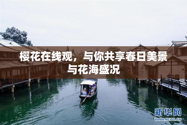 樱花在线观，与你共享春日美景与花海盛况