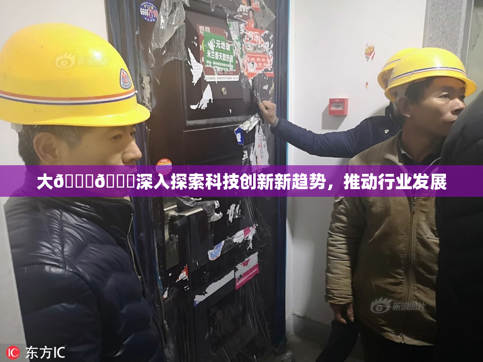 大🐔🐔深入探索科技创新新趋势，推动行业发展
