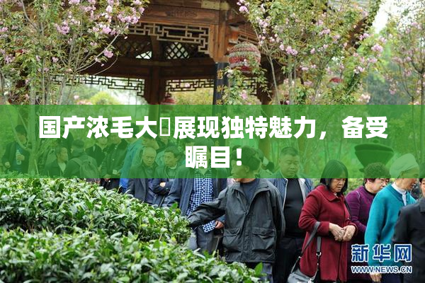 国产浓毛大泬展现独特魅力，备受瞩目！