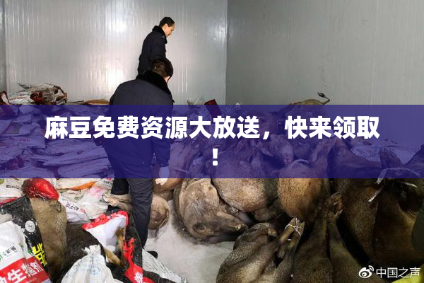 麻豆免费资源大放送，快来领取！