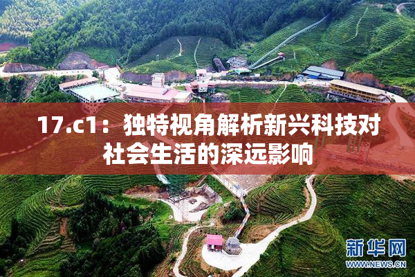 17.c1：独特视角解析新兴科技对社会生活的深远影响