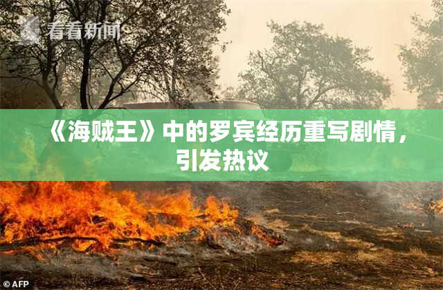 《海贼王》中的罗宾经历重写剧情，引发热议