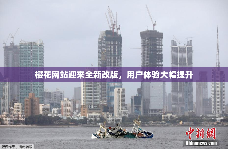 樱花网站迎来全新改版，用户体验大幅提升