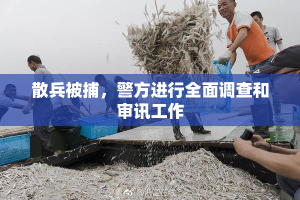 散兵被捕，警方进行全面调查和审讯工作