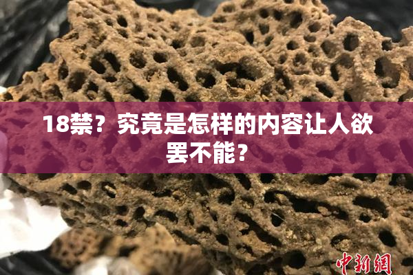 18禁？究竟是怎样的内容让人欲罢不能？